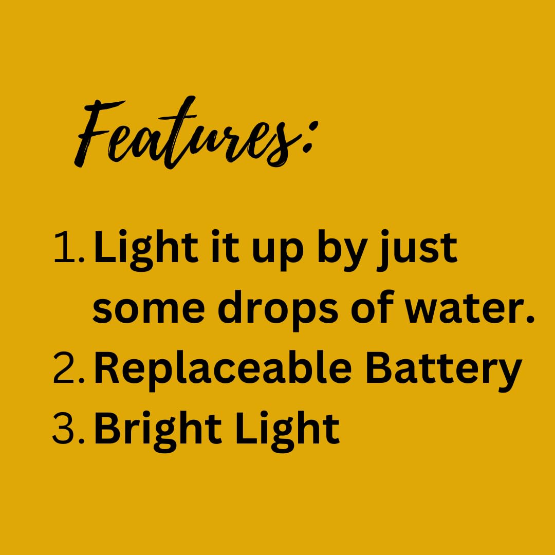 Aster Flameless Water-Powered Diyas™